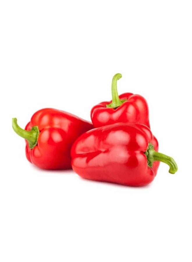 Red bell pepper 500g